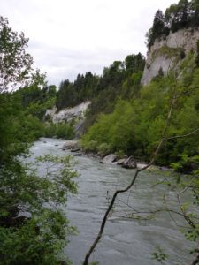 Vorderrhein bei Castrisch