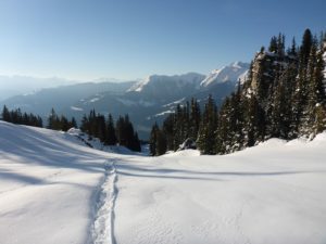 Wegspur im Neuschnee