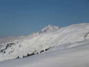 Tödi, Bifertenstock, Brigels