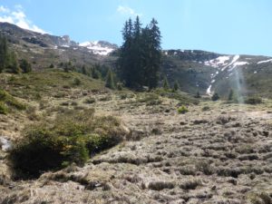 Blick Richtung Guraletschhorn