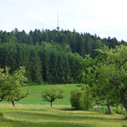 Herrenbänkli Irchelturm