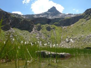 Ampervreilsee