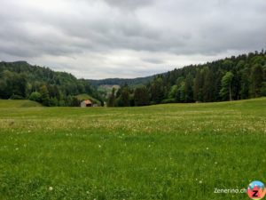 Ottenegg - Aussicht Richtung Rotbühl