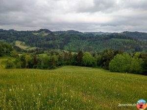 Ausblick Ottenegg