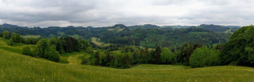 Höchster berg thurgau