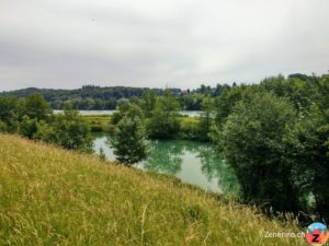 Vogelroupfi Aare