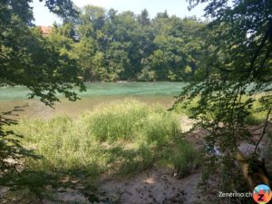 Aare bei Murgenthal