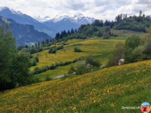 Falera und Blick ins Valsertal