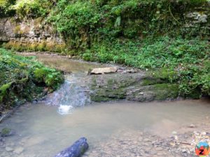 Chrintelbach im Stierengraben