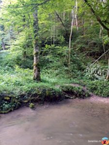 Chrintelbach im Stierengraben