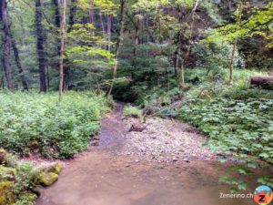 Chrintelbach im Stierengraben